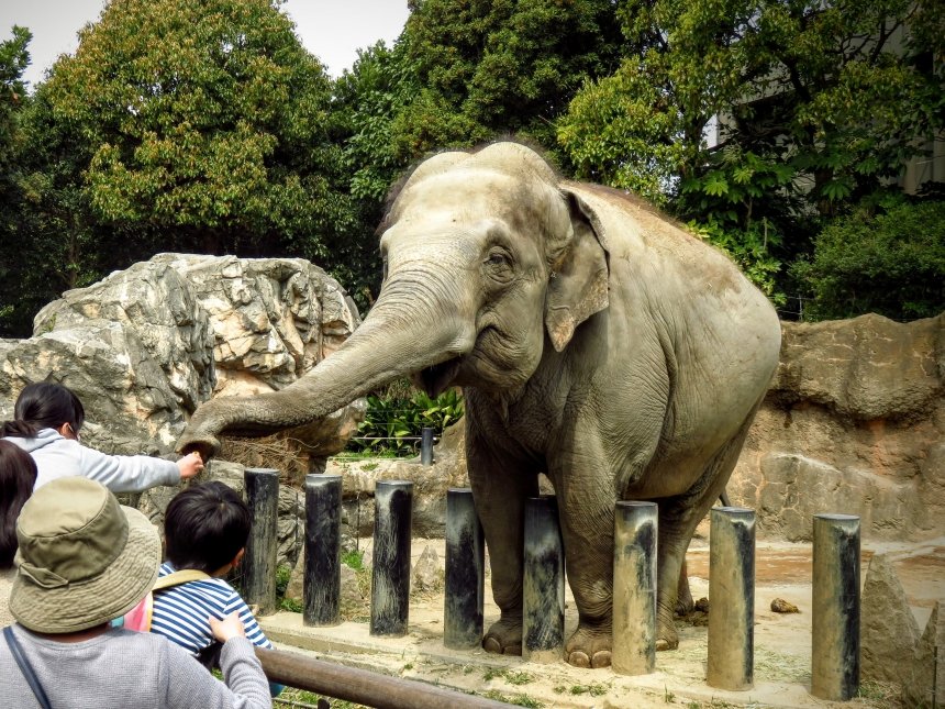 🦁 이토즈 숲 공원(이토즈노모리 코엔)
